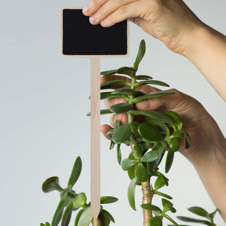 ZX507 10個一賣 木製插地DIY留言板 迷你植物名字牌 桌面展示板