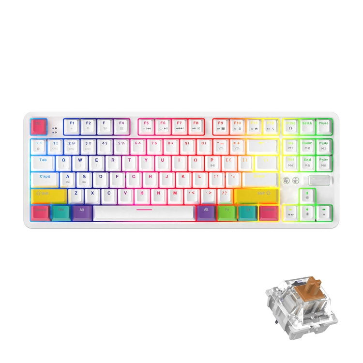 黑爵 K870T 87鍵 熱插拔藍牙/有線雙模RGB背光辦公遊戲机械鍵盤