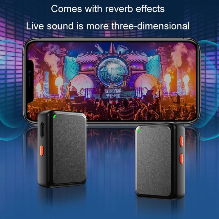 APEXEL APL-MIC009 一拖二戶外直播降噪收音話筒