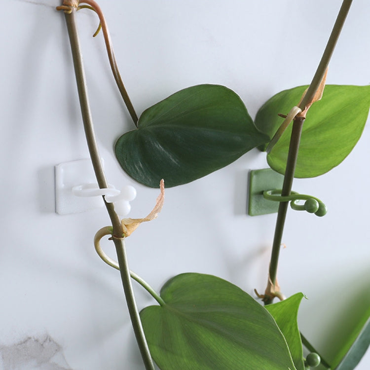 50個賣 綠蘿爬牆扣 藤蔓無痕綠植固定器 自粘掛鈎