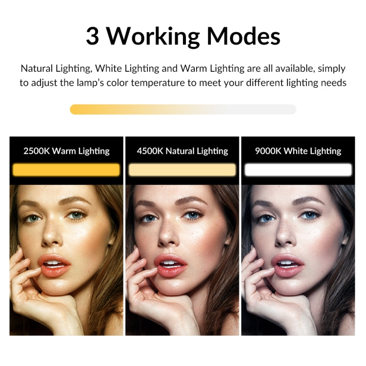 APEXEL APL-FL06 便攜式方形長條直播視頻會議補光燈