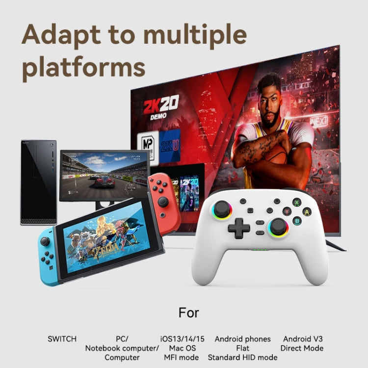 無線藍牙體感震動遊戲手柄 適用於Nintendo Switch/Switch PRO, Black Gold, White Green, Black, White