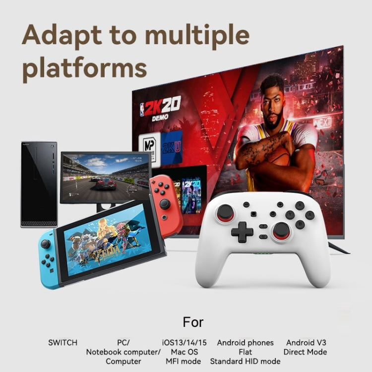 無線藍牙體感震動遊戲手柄 適用於Nintendo Switch/Switch PRO