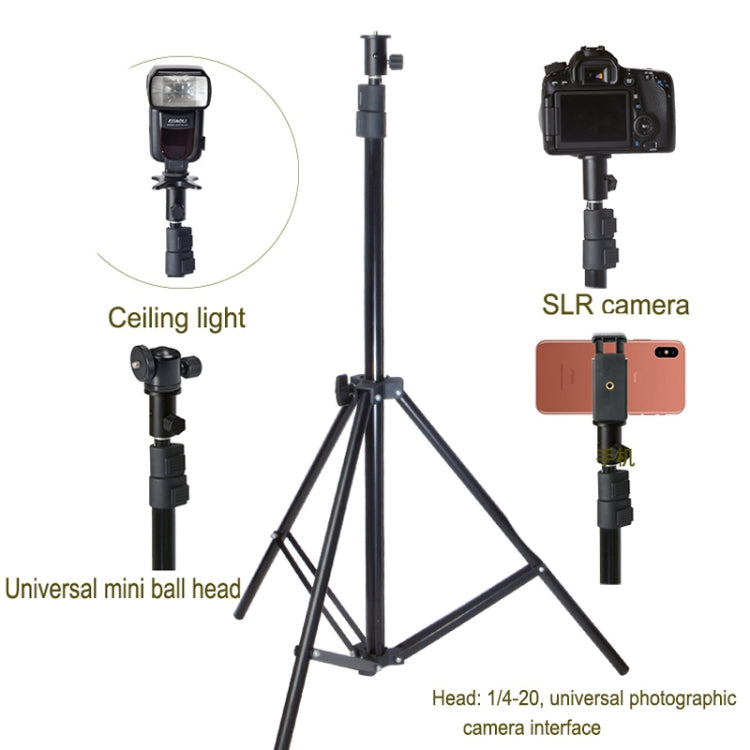 BEXIN  LSC05 攝影閃光燈轉接頭支架轉換接口底座1/4 燈架