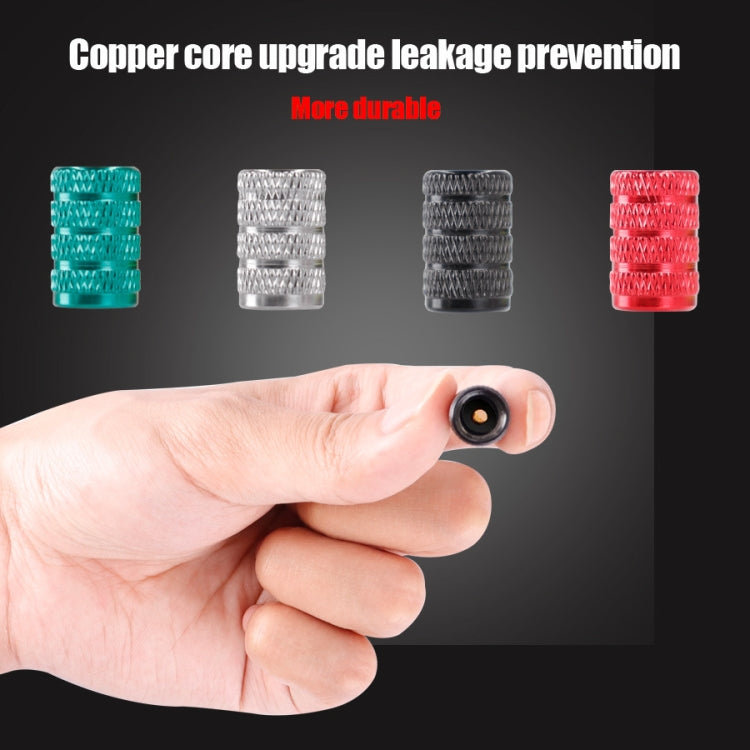 適用於小米 M365 / Pro 電動滑板車防塵鋁合金氣嘴