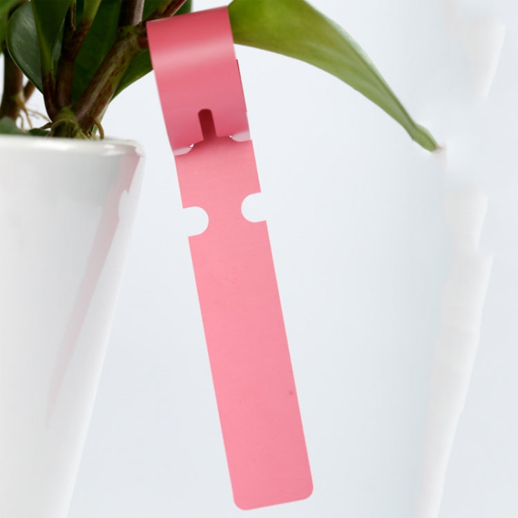 100個一賣 園藝植物樹苗種子掛樹標籤