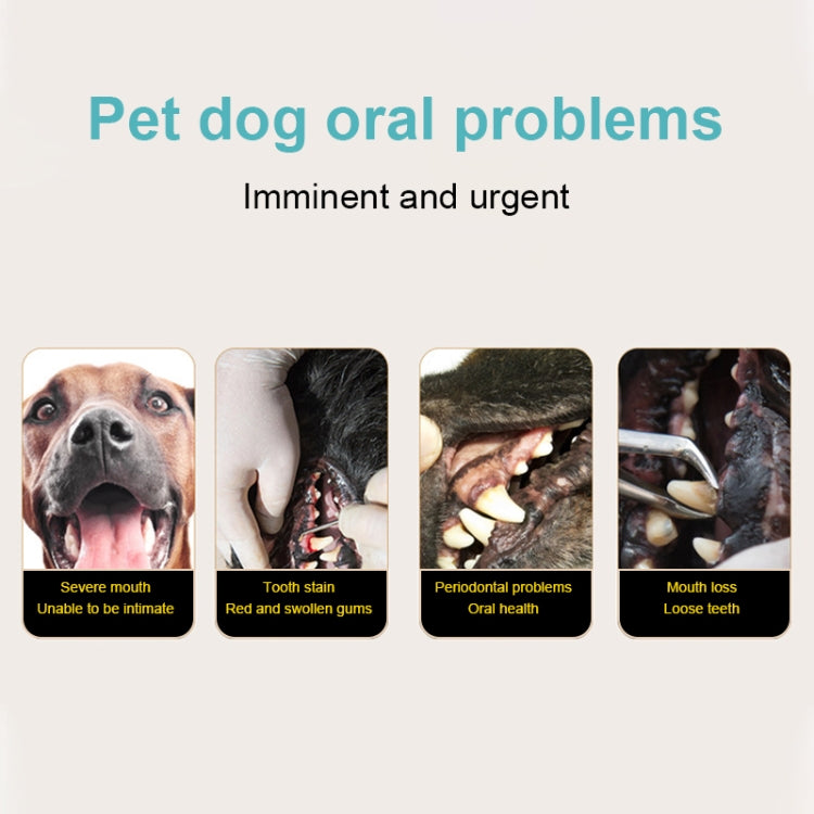 寵物電動牙刷牙齒拋光器口腔清潔去牙菌斑工具