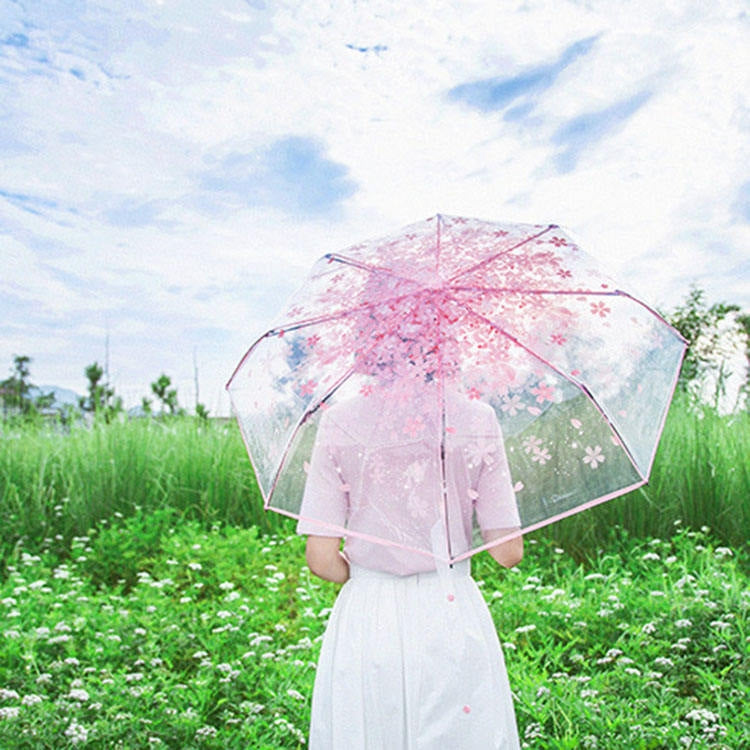 櫻花透明三折雨傘個性摺疊雨傘