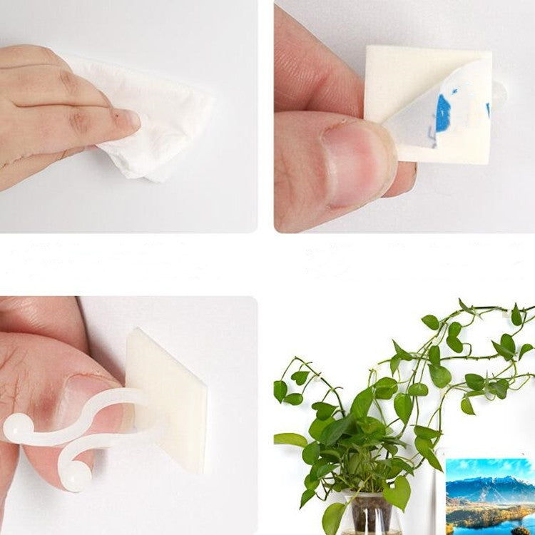 10個賣 綠蘿爬牆固定器藤攀爬貼牆式粘貼掛鈎