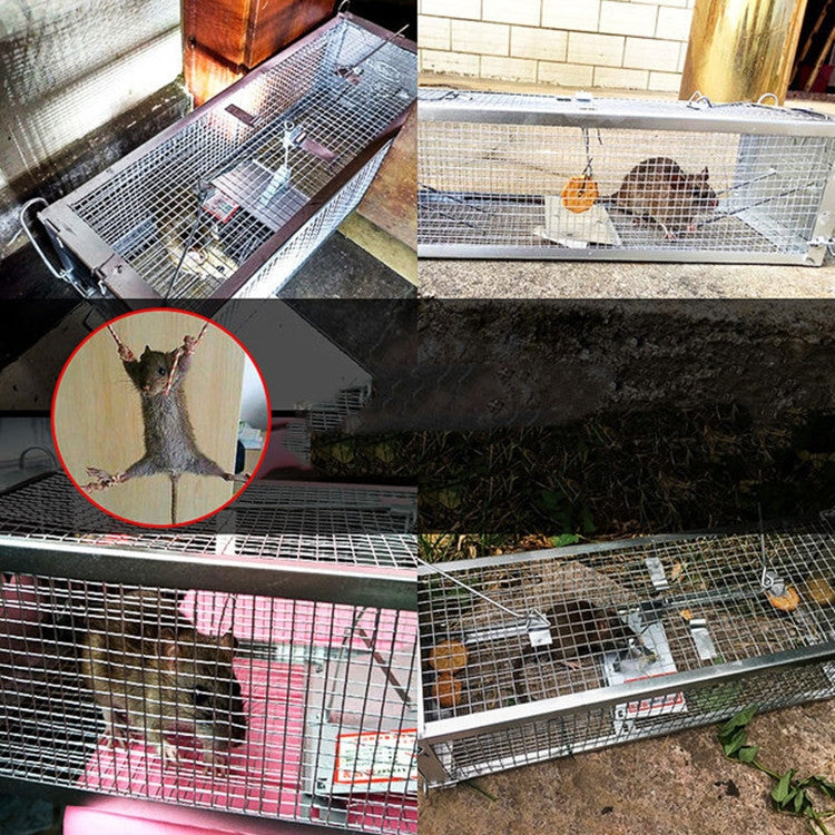 雙開門老鼠籠捕鼠器家用抓籠