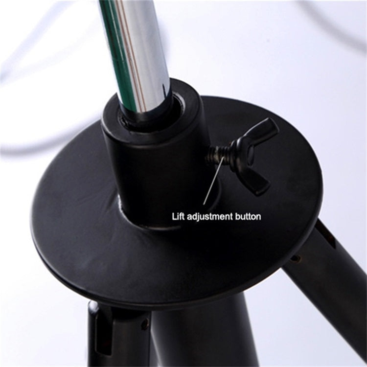 衛星攝影棚三腳架落地燈 客廳卧室國標插頭