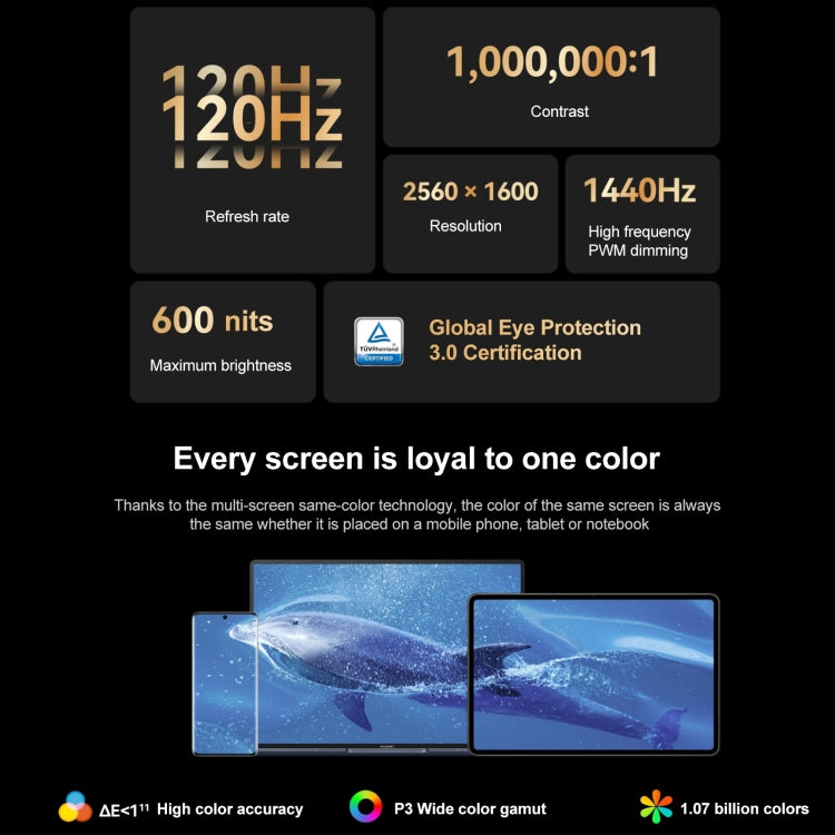 華為 HUAWEI MatePad Pro 12.6英寸2022 Wi-Fi版 WGRR-W09 8GB+256GB，鴻蒙OS 3 麒麟9000E八核 支持WiFi/藍牙/GPS，不支持谷歌商店